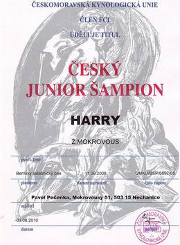 HARRY  Junior sampion0001.JPG