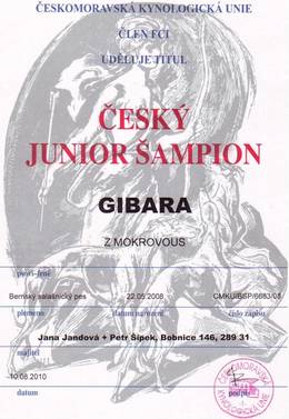 Gibara Junioršampion0001.JPG